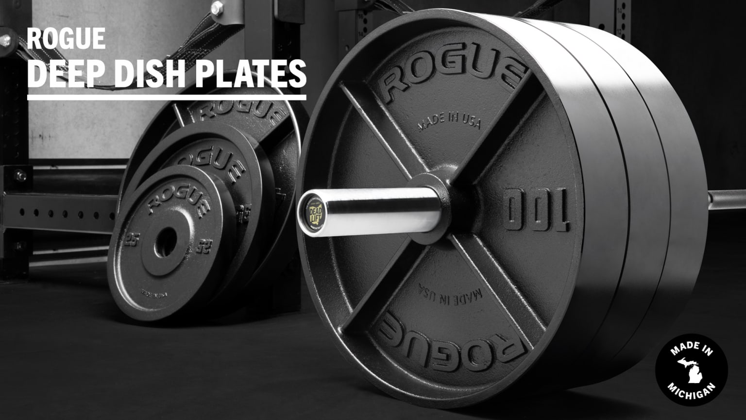 Rogue fitness 10 lb discount plates